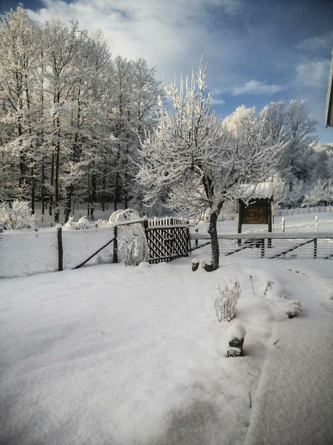 La Locanda Degli Elfi Viggianello Esterno foto