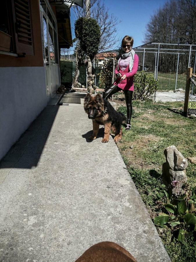 La Locanda Degli Elfi Viggianello Esterno foto