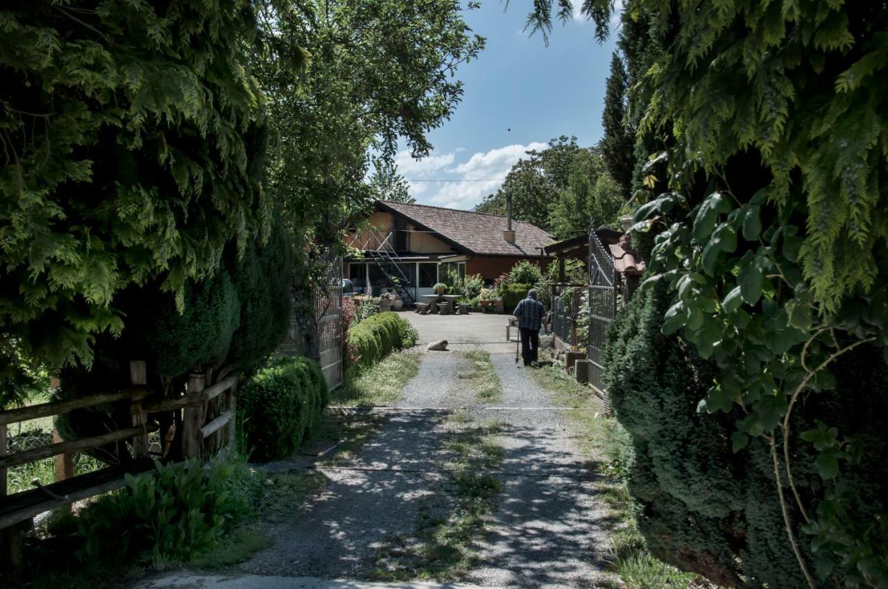 La Locanda Degli Elfi Viggianello Esterno foto