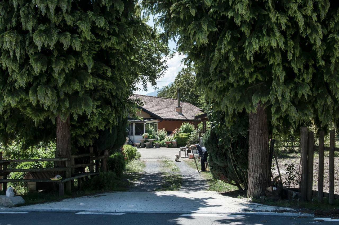 La Locanda Degli Elfi Viggianello Esterno foto